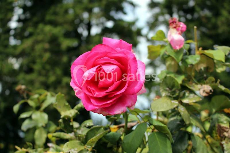 Domaine De La Tapie - galerie - photo 20