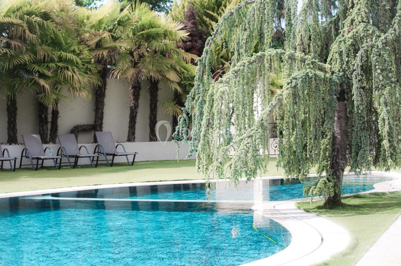 Piscine extérieure entourée de chaises longues, de pelouse et d'arbres, dont un saule pleureur au premier plan.