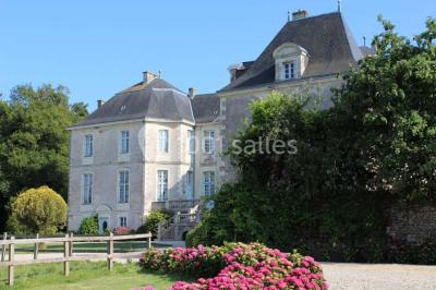 Château De La Rousselière - photo 1