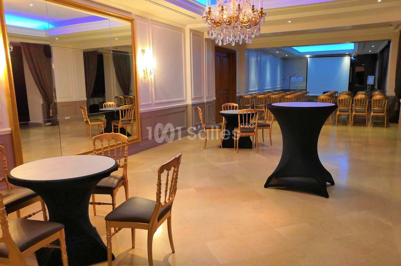 Château de Gency - galerie - photo 9