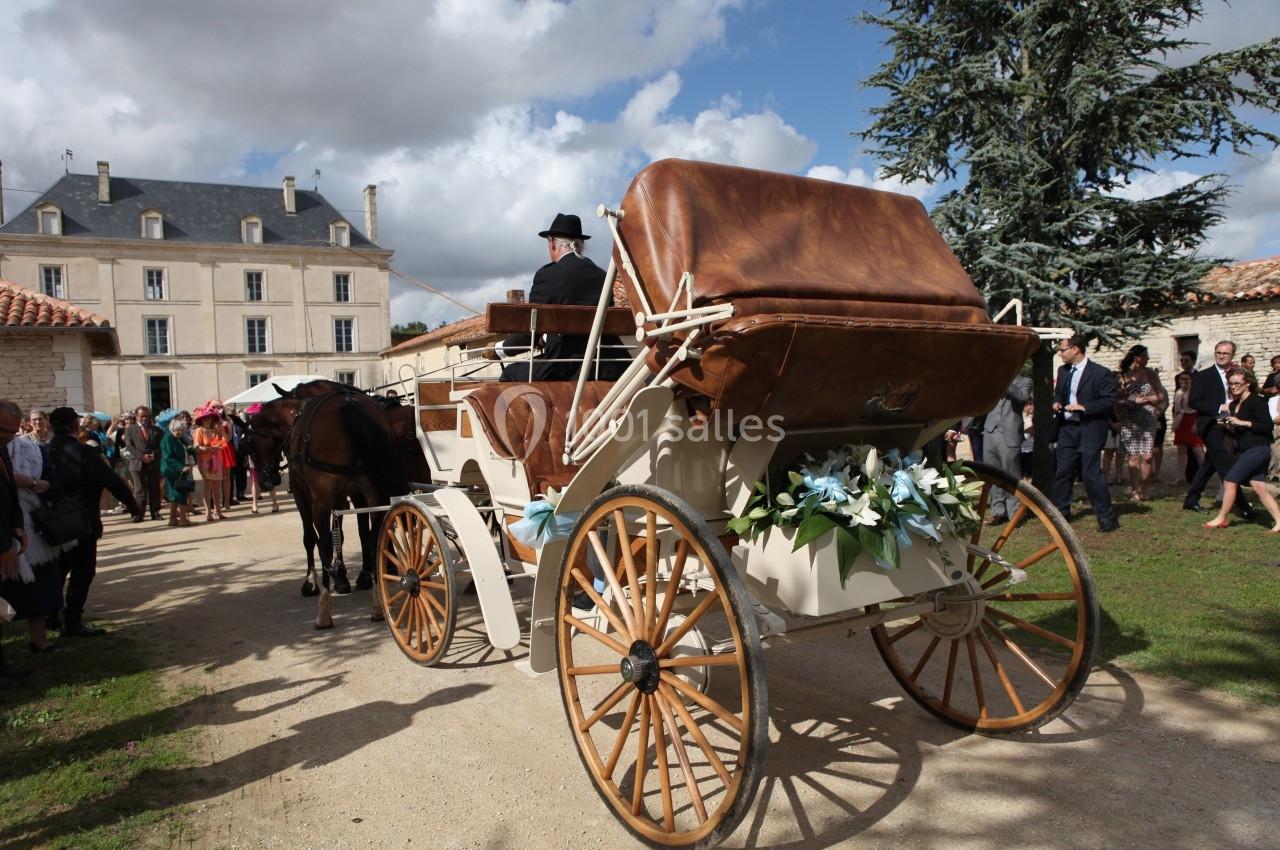 Une calèche tirée par un cheval avec un cocher, entourée de personnes lors d'un événement en extérieur.