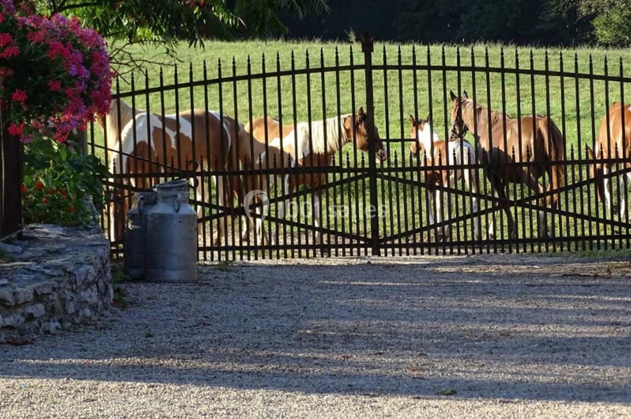 Location salle Vézeronce-Curtin (Isère) - Domaine de La Ferme de Montin #30