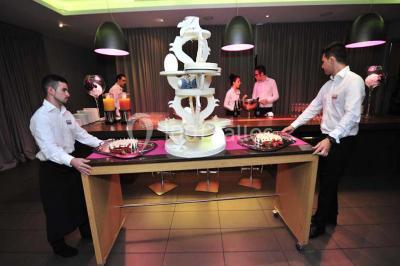 Location salle Blagnac (Haute-Garonne) - Radisson Blu Hôtel, Toulouse Airport #24