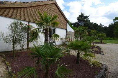 Miniature Location salle Arbonne-la-Forêt (Seine-et-Marne) - Le Domaine du Rocher #9 Allée gravillonnée bordée de verdure et de plantes, menant à une entrée avec des arches blanches sous un ciel dégagé.