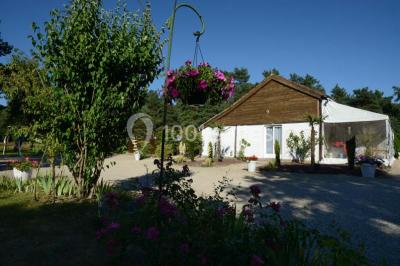 Miniature Location salle Arbonne-la-Forêt (Seine-et-Marne) - Le Domaine du Rocher #23 Allée gravillonnée bordée de verdure et de plantes, menant à une entrée avec des arches blanches sous un ciel dégagé.