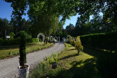 Miniature Location salle Arbonne-la-Forêt (Seine-et-Marne) - Le Domaine du Rocher #25 Allée gravillonnée bordée de verdure et de plantes, menant à une entrée avec des arches blanches sous un ciel dégagé.