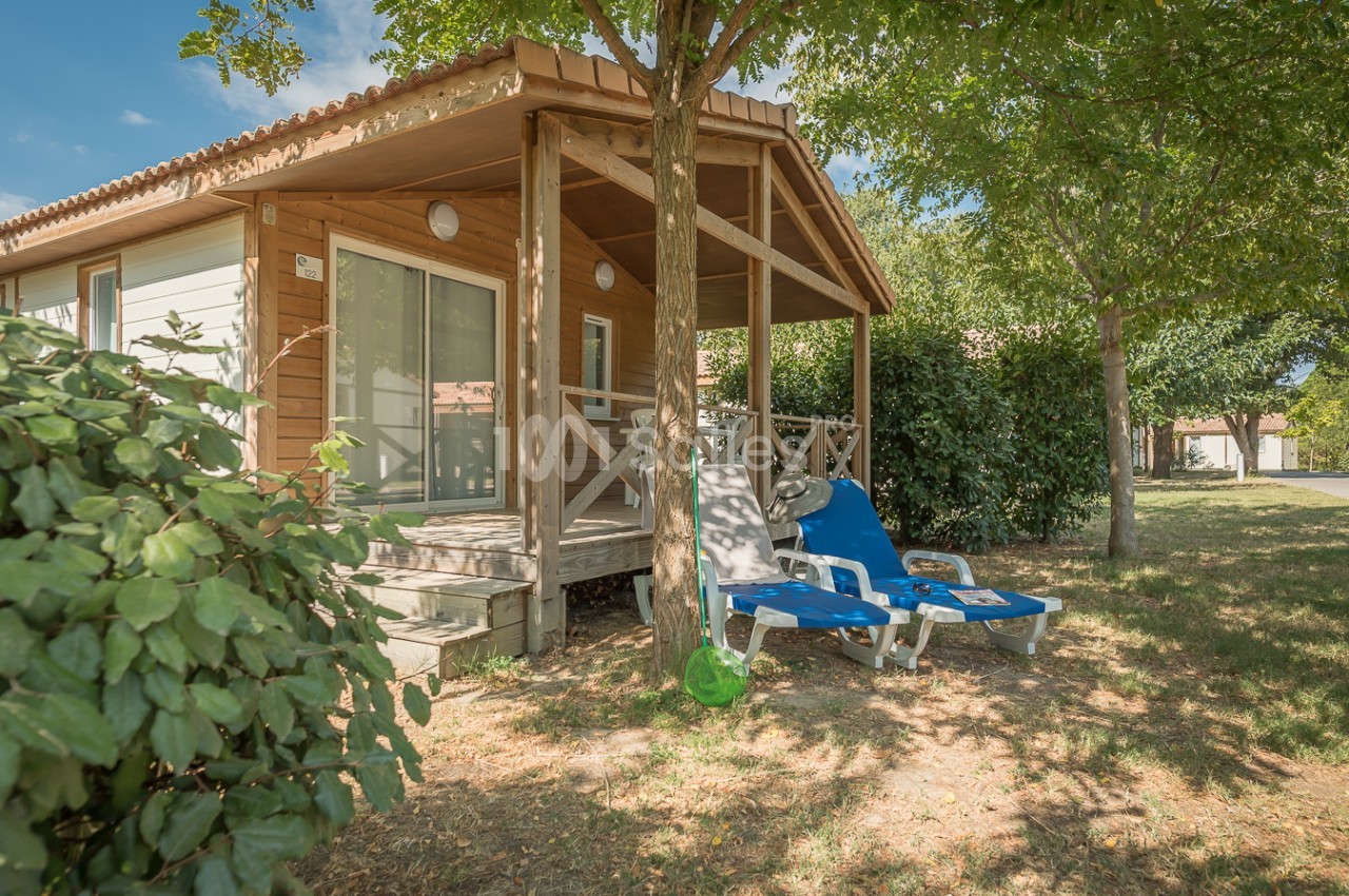 Chalet en bois avec terrasse ombragée, entouré de verdure, et deux transats bleus posés sur la pelouse.