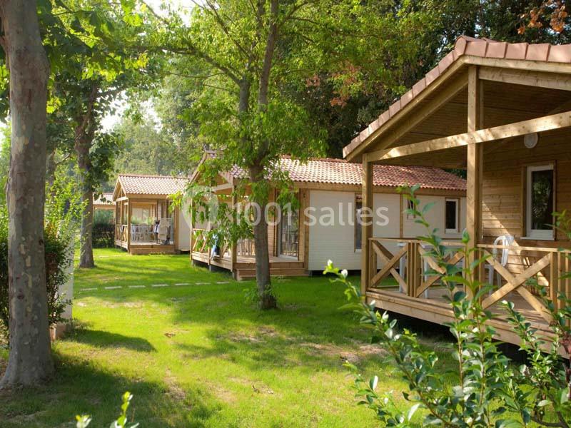Alignement de chalets en bois entourés de verdure, avec des arbres et pelouses dans un environnement calme.