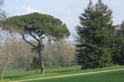 Le Château De Craon - photo 2