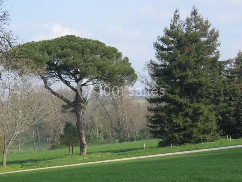 Le Château De Craon - galerie - photo 2