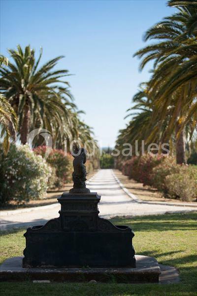 Château Des Anglades - galerie - photo 14