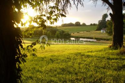 Miniature Location salle Saint-Hilaire-en-Morvan (Nièvre) - Château de Chaligny #13 Location salle Saint-Hilaire-en-Morvan (Nièvre) - Château de Chaligny #23
