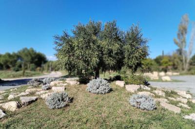 Vue aérienne d'une maison avec toit en tuiles, piscine rectangulaire et jardin arboré dans un cadre rural.