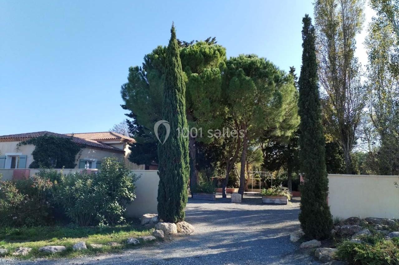 Allée gravillonnée bordée de cyprès menant à une maison entourée de végétation sous un ciel dégagé.