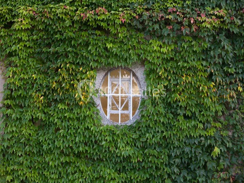 Château De Montplaisant - galerie - photo 14