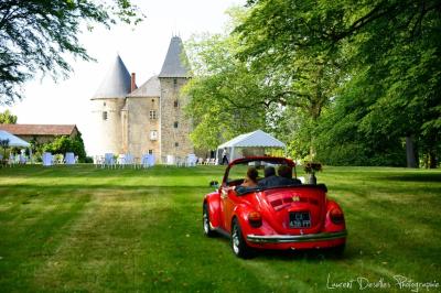 Château de Brie - photo 4
