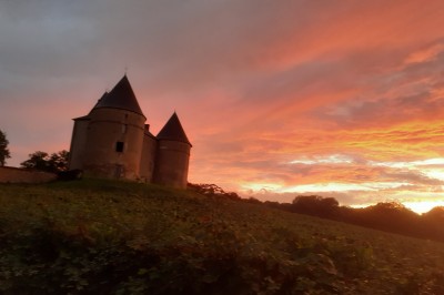 Château de Brie - photo 1