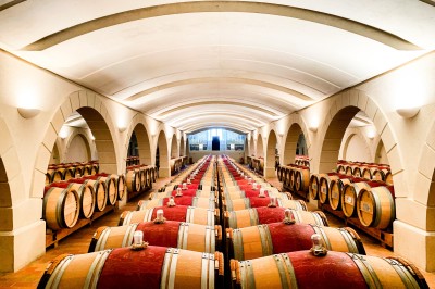 Château Haut Chaigneau - photo 3