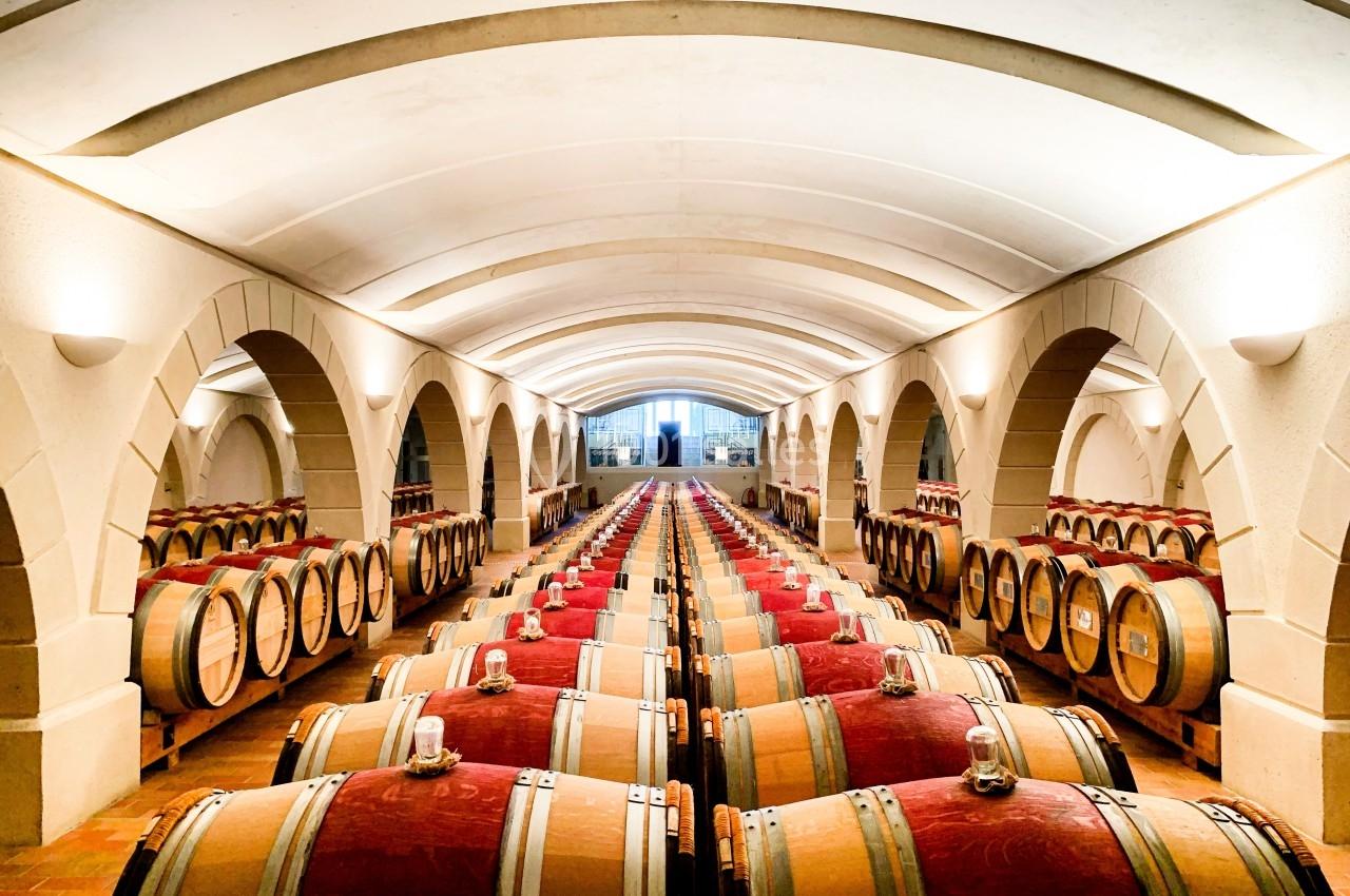 Château Haut Chaigneau - galerie - photo 3
