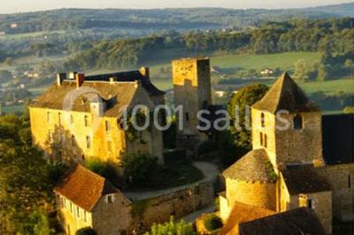 Château De Cavagnac - photo 1