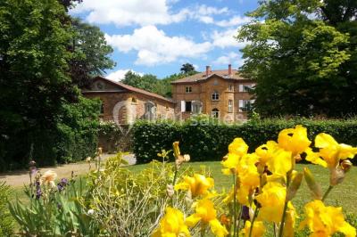 Miniature Location salle Savigny (Rhône) - Domaine de Tourieux #9 Location salle Savigny (Rhône) - Domaine de Tourieux #24