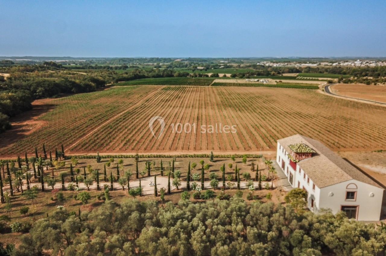 Vue aérienne d'un vignoble avec une maison en pierre entourée d'arbres et des champs à perte de vue.