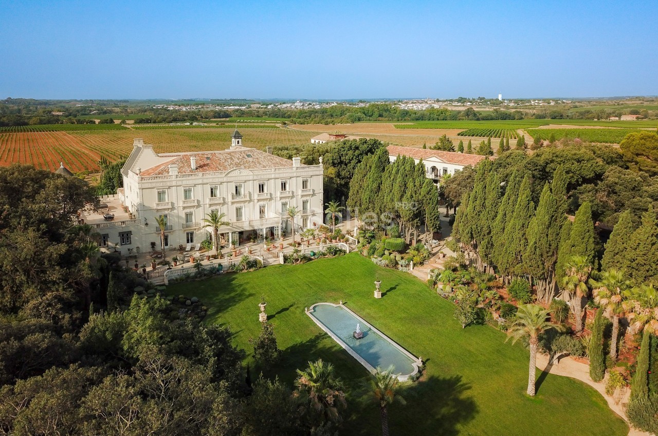 Vue aérienne d'un domaine avec un manoir entouré de jardins, d'une fontaine centrale et de vignobles à l'arrière-plan.