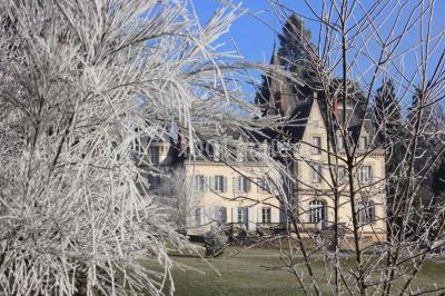 Château Saint Antoine - photo 3