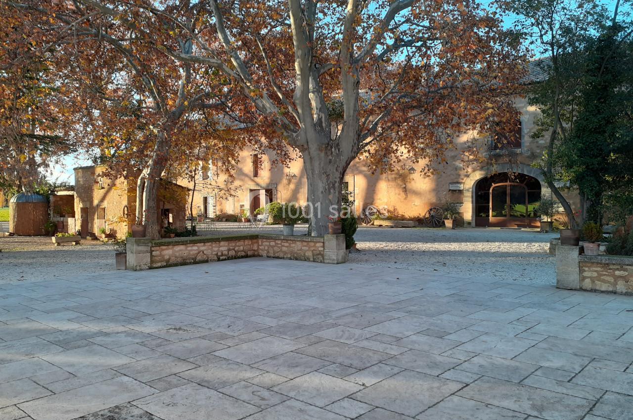 Cour pavée avec un grand arbre au centre, entourée de bâtiments en pierre sous une lumière automnale.