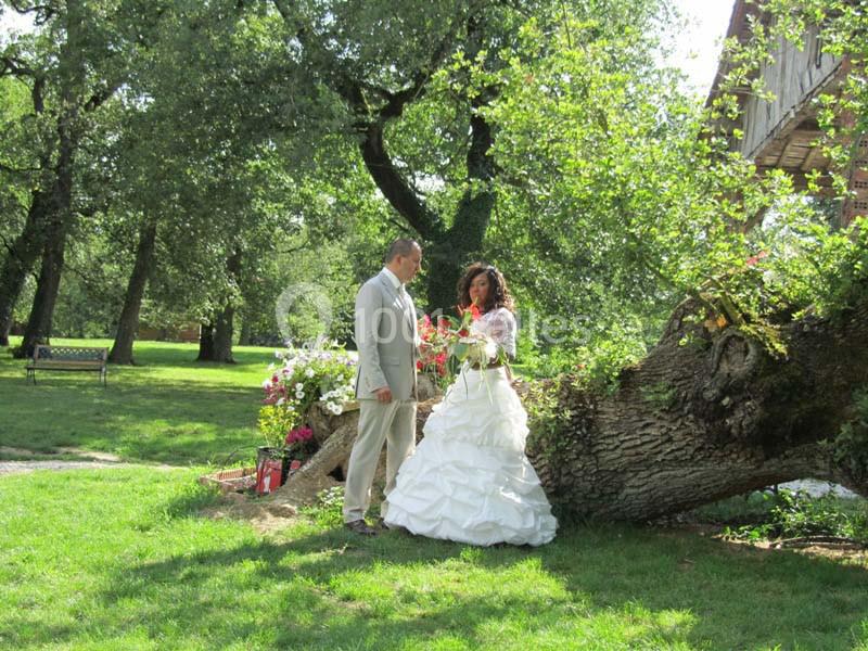 Domaine De Miraval - galerie - photo 18