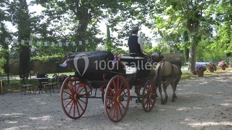 Domaine Des Marcoujans - galerie - photo 10
