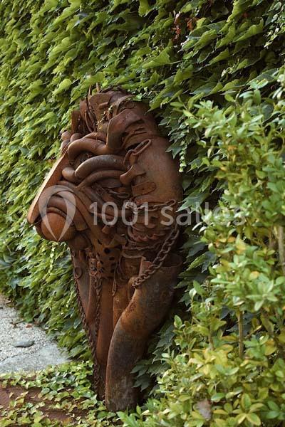Domaine Des Marcoujans - galerie - photo 15