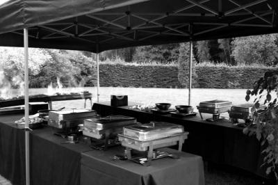 Miniature Location salle Flémalle (Liège) - Salons Ypsilon #11 Roses roses et blanches en gros plan devant une pelouse et des arbres verdoyants sous un ciel clair.