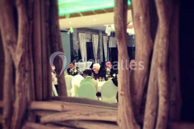 Miniature Location salle Flémalle (Liège) - Salons Ypsilon #14 Roses roses et blanches en gros plan devant une pelouse et des arbres verdoyants sous un ciel clair.