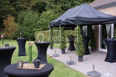 Miniature Location salle Flémalle (Liège) - Salons Ypsilon #3 Roses roses et blanches en gros plan devant une pelouse et des arbres verdoyants sous un ciel clair.