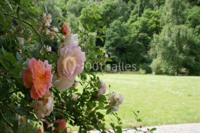 Miniature Location salle Flémalle (Liège) - Salons Ypsilon #24 Roses roses et blanches en gros plan devant une pelouse et des arbres verdoyants sous un ciel clair.
