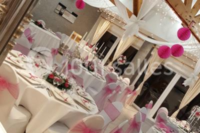 Miniature Location salle Flémalle (Liège) - Salons Ypsilon #8 Roses roses et blanches en gros plan devant une pelouse et des arbres verdoyants sous un ciel clair.