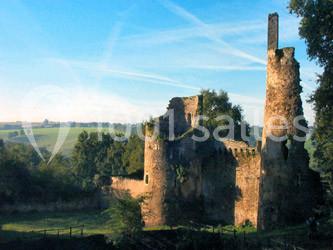 Château de Turmelière - photo 5
