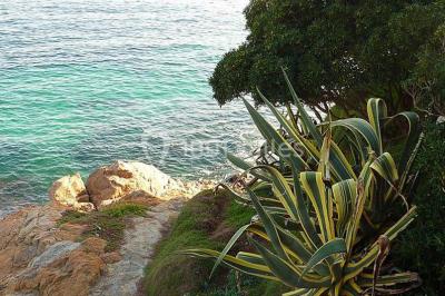 Location salle Cannes (Alpes-Maritimes) - Villa Luna #16