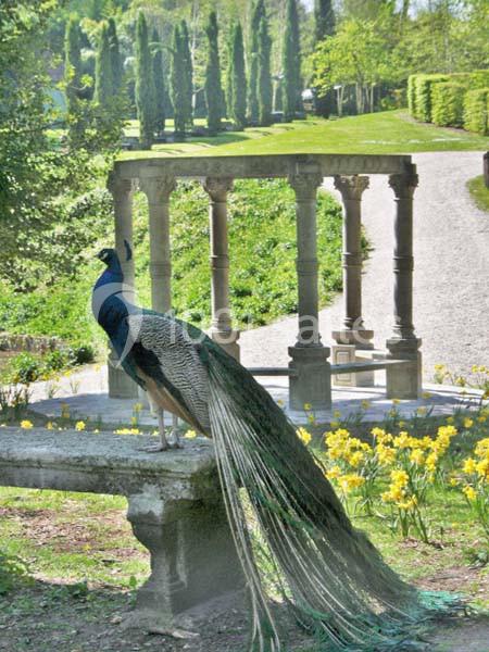 Location salle Chantilly (Oise) - Le Potager des Princes #17