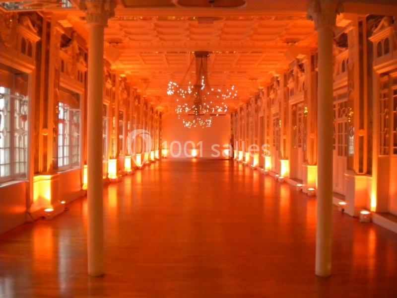 Salon des Miroirs - galerie - photo 3
