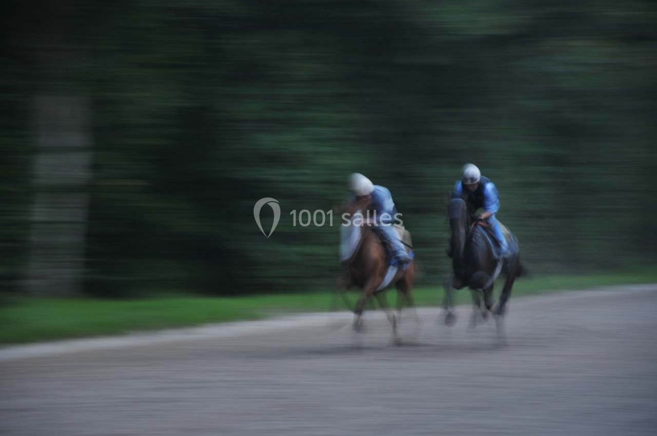 Deux cavaliers en tenue bleue montent des chevaux au galop sur une piste floue, entourée de verdure.