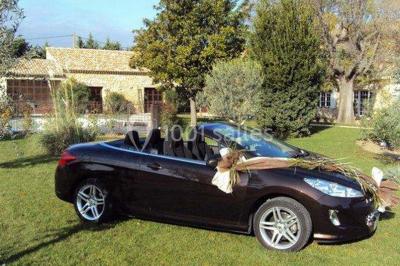 Miniature Location salle Cavaillon (Vaucluse) - Mas Sous Le Marronnier #7 Location salle Cavaillon (Vaucluse) - Mas Sous Le Marronnier #21