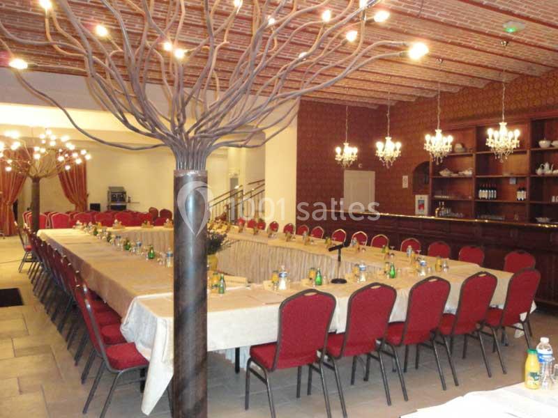 Location salle Montaigu-le-Blin (Allier) - Château La Boulaize #12