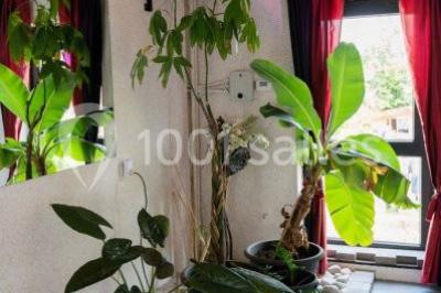 Location salle Liège (Liège) - La Ferme Des Carmes #24