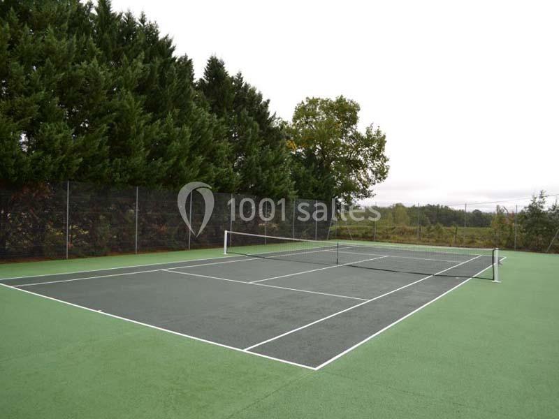 Terrain de tennis extérieur avec surface en gazon synthétique, entouré d'arbres et d'une clôture grillagée.