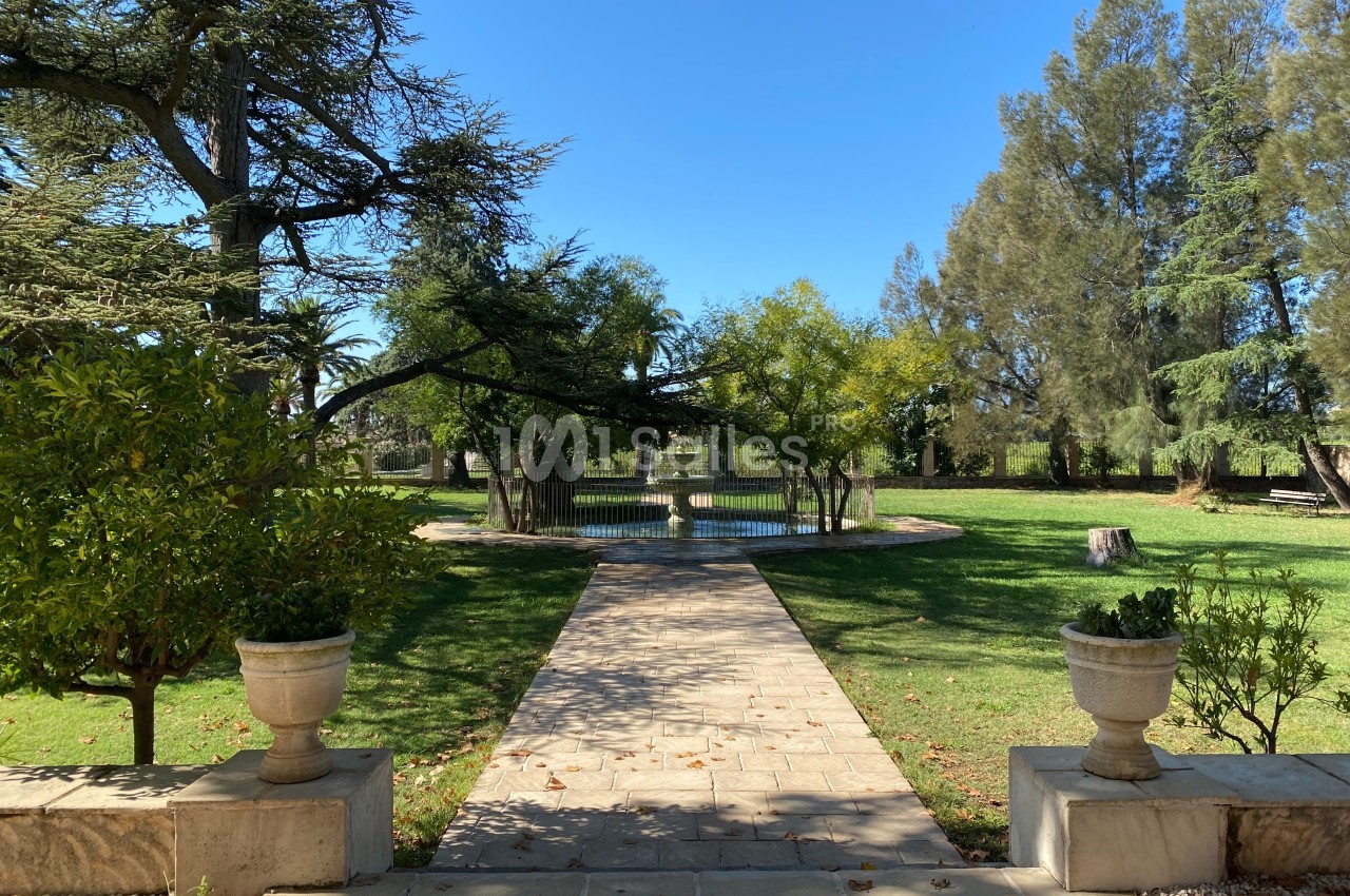 Château des Anglades - galerie - photo 17