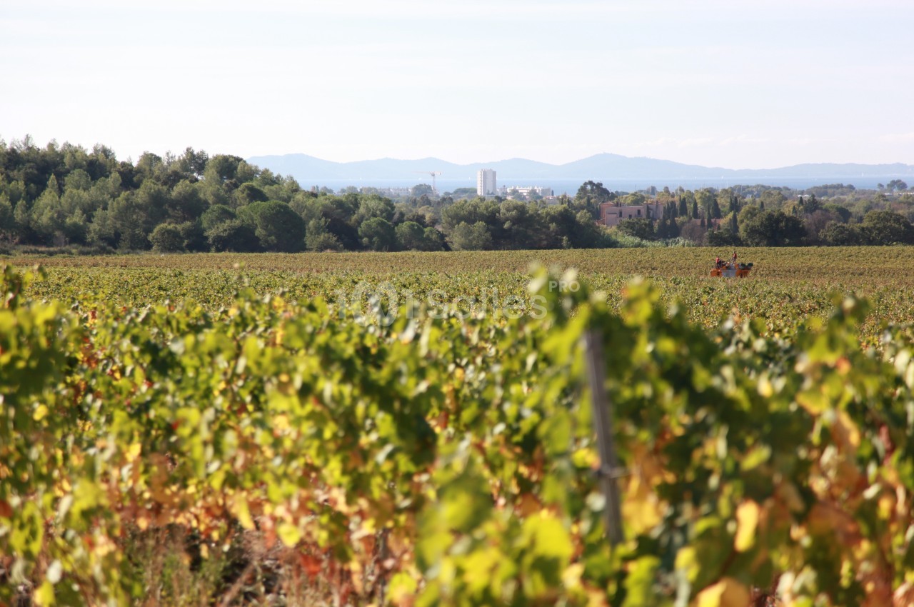 Château des Anglades - galerie - photo 23