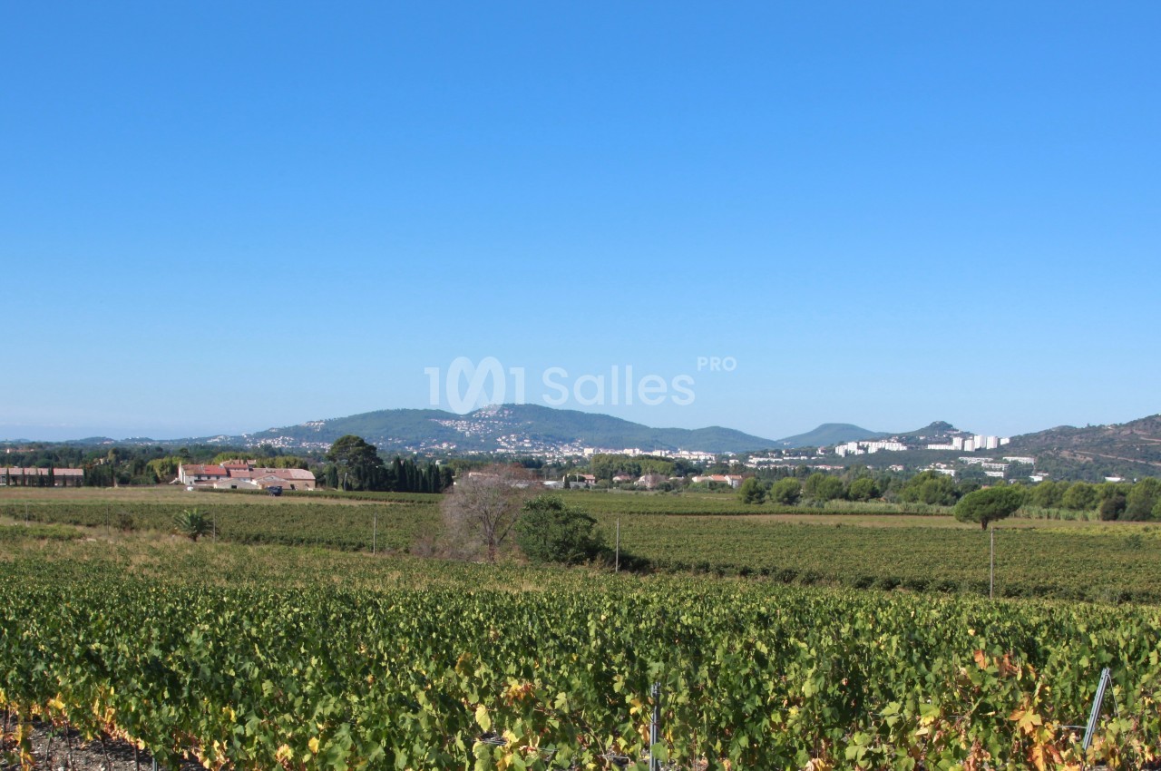 Château des Anglades - galerie - photo 24