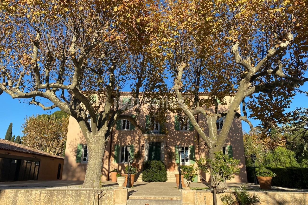 Château des Anglades - galerie - photo 6